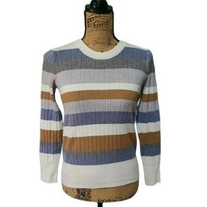 Striped Evolution sweater